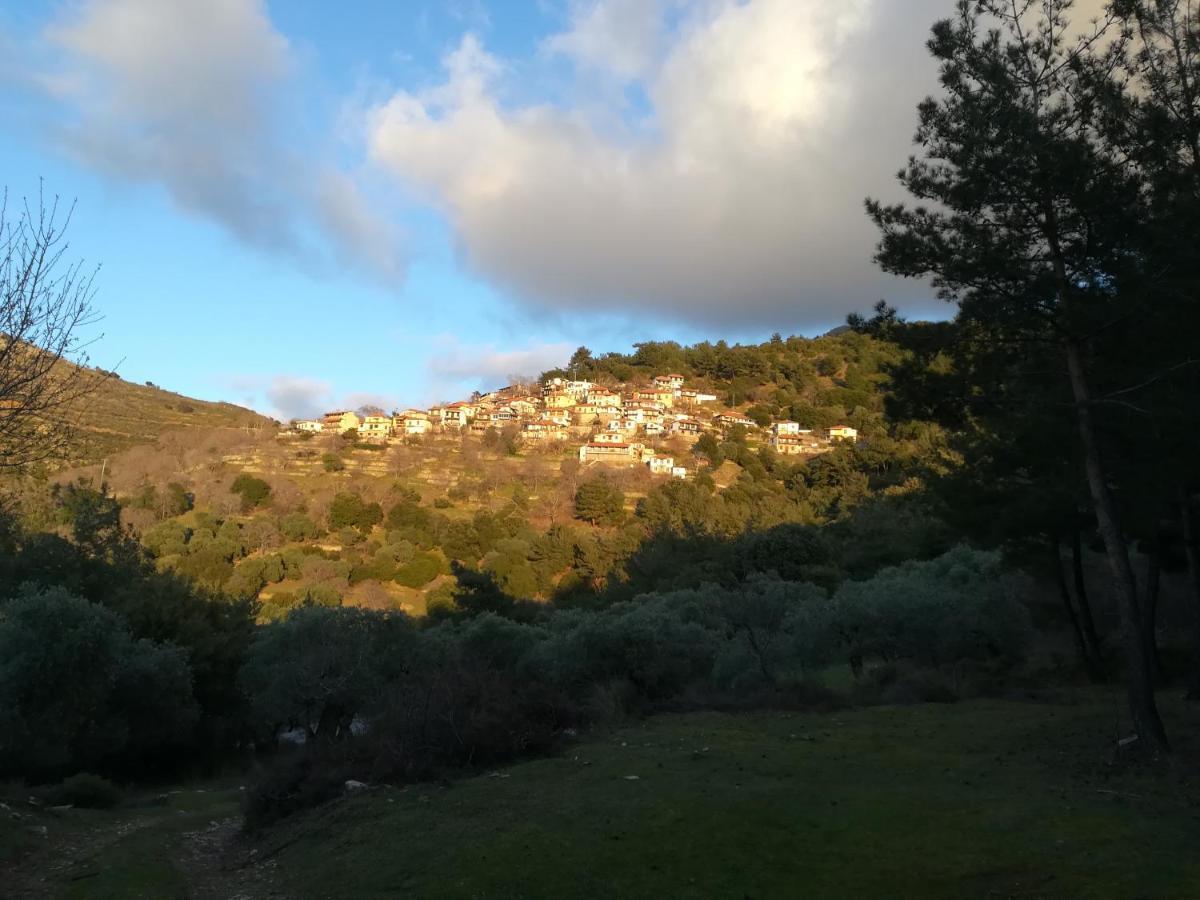 Eden View Lägenhet Sotir Exteriör bild